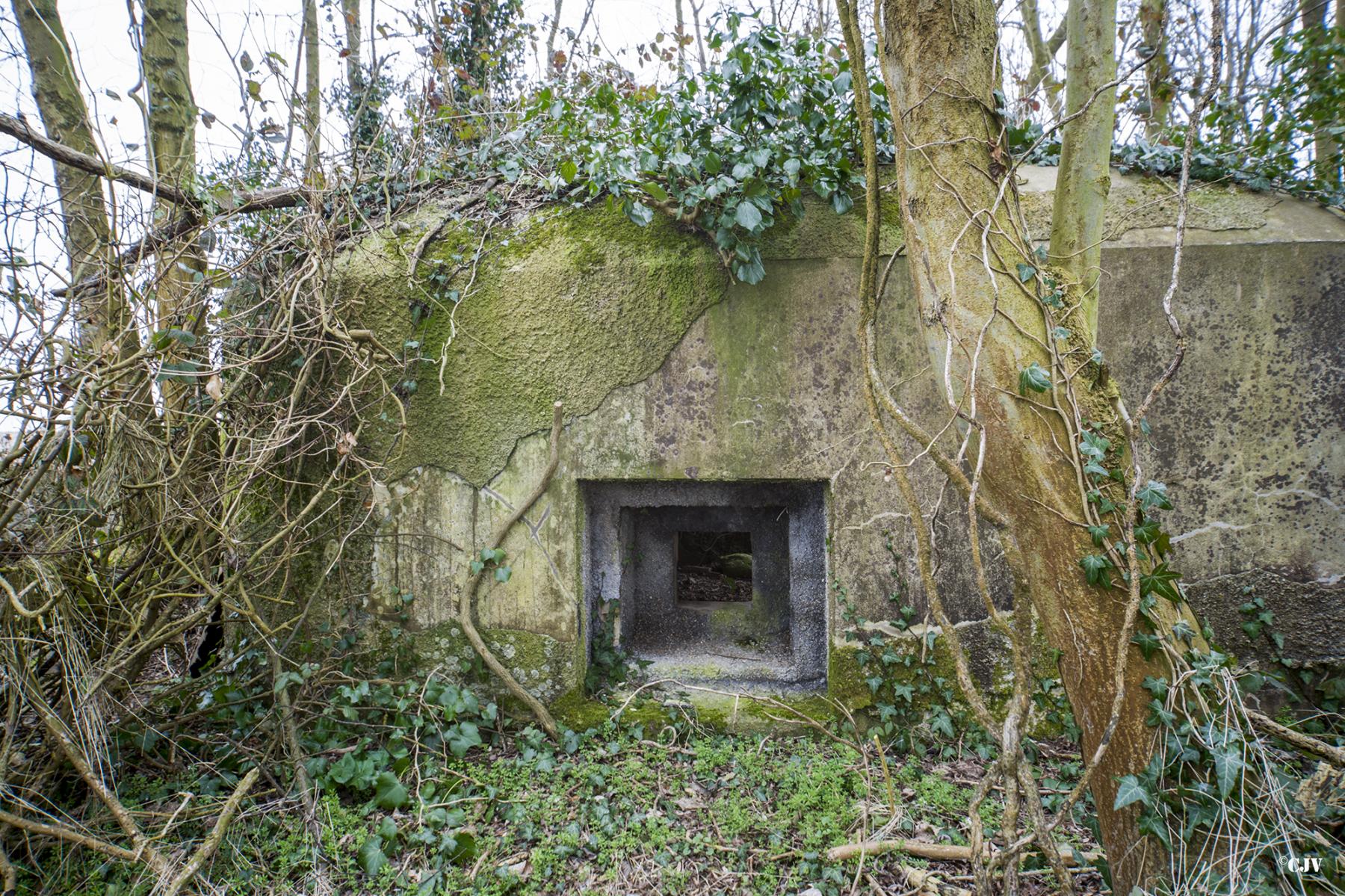 Ligne Maginot - B638 - PETIT BOSQUET - (Blockhaus pour canon) - Un des créneaux de flanquement - Lia VERMEULEN