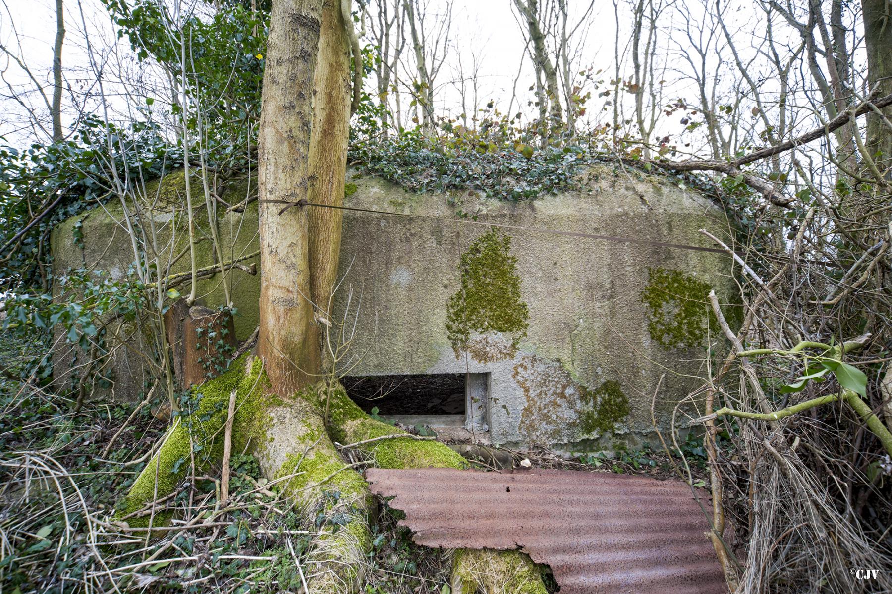 Ligne Maginot - B638 - PETIT BOSQUET - (Blockhaus pour canon) - Un des créneaux de flanquement - Lia VERMEULEN