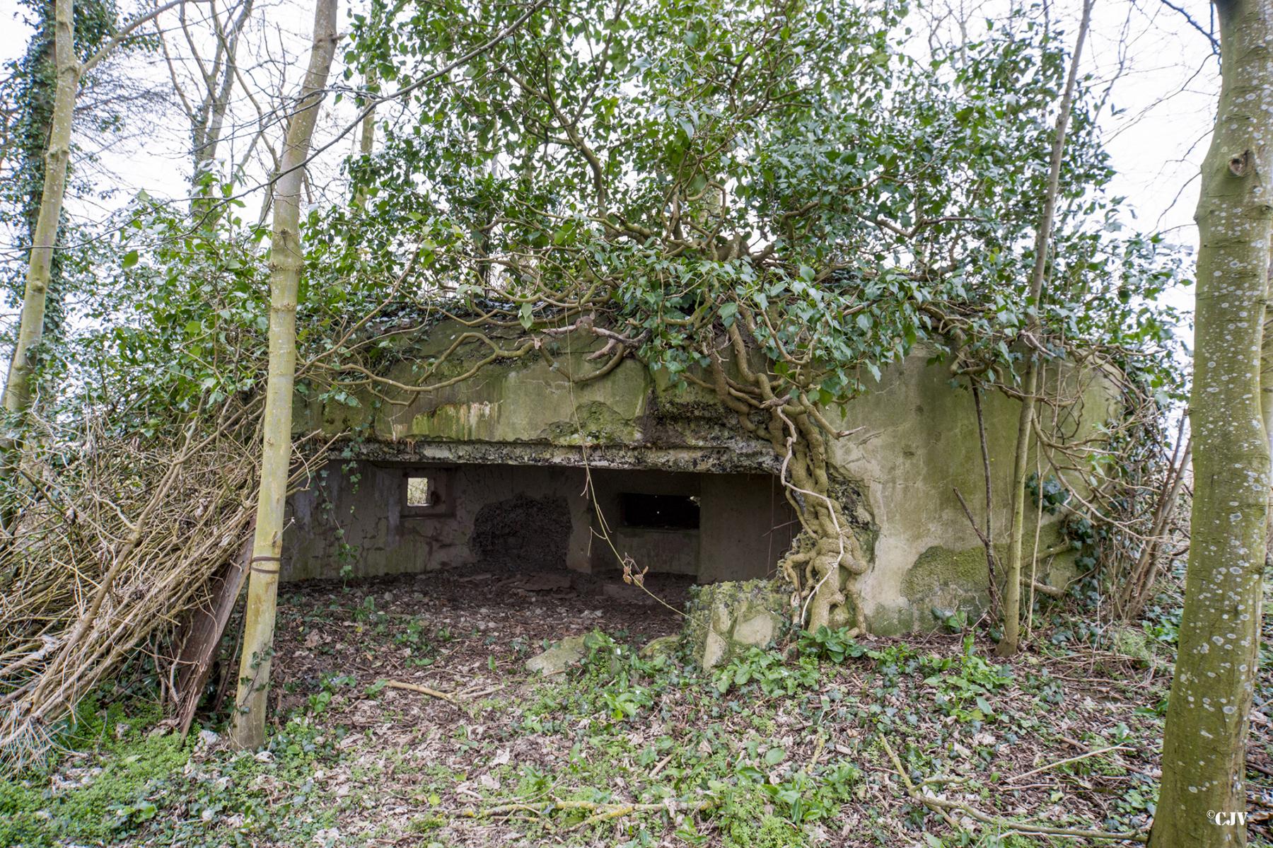 Ligne Maginot - B638 - PETIT BOSQUET - (Blockhaus pour canon) - L'entrée est endommagé - Lia VERMEULEN