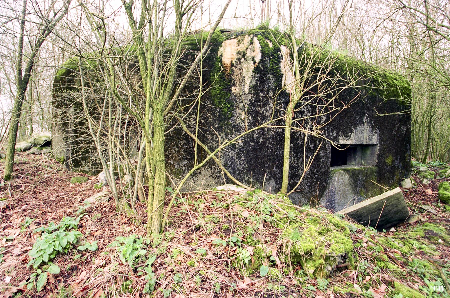 Ligne Maginot - B652 - REDOUTE DE ROCQ SUD - (Blockhaus pour canon) - Le créneau principal - Caspar Vermeulen