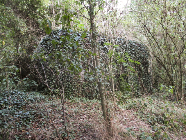 Ligne Maginot - B652 - REDOUTE DE ROCQ SUD - (Blockhaus pour canon) -  - Randonneur62