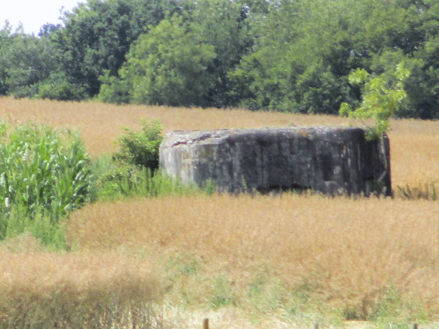 Ligne Maginot - B653 - L'ESCRIERE (Blockhaus pour arme infanterie) - Blockhaus situé dans un champ cultivé à proximité du ruisseau 'L'Escrière'. - Randonneur62
