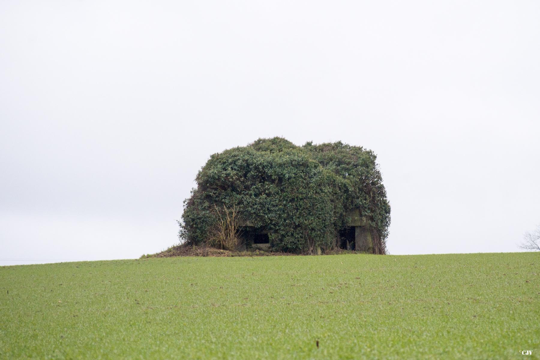 Ligne Maginot - B673 - TOUS VENTS SUD - (Blockhaus pour canon) -  - Lia VERMEULEN