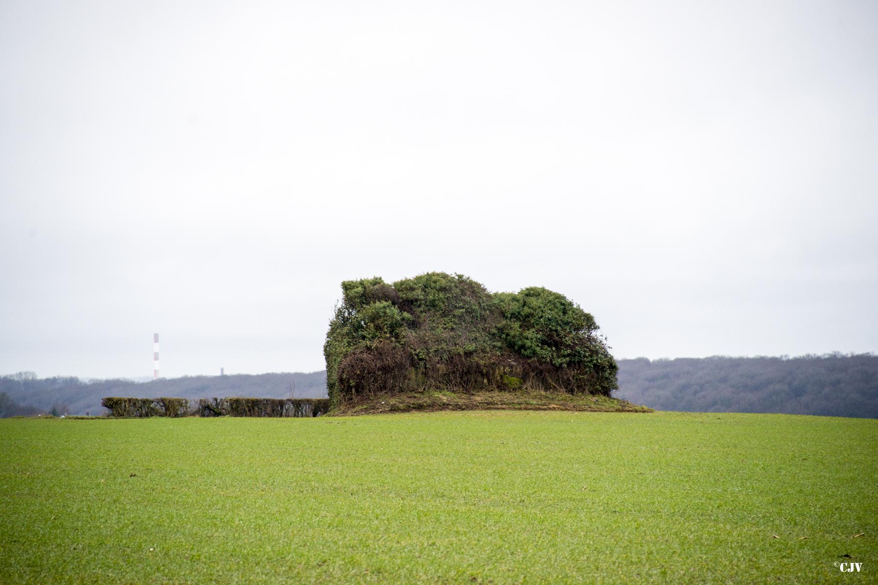 Ligne Maginot - B673 - TOUS VENTS SUD - (Blockhaus pour canon) -  - Lia VERMEULEN