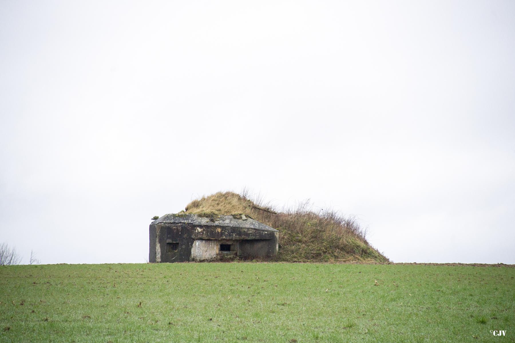 Ligne Maginot - B674 - PETIT BRANLEUX (Blockhaus pour canon) -  - Lia VERMEULEN