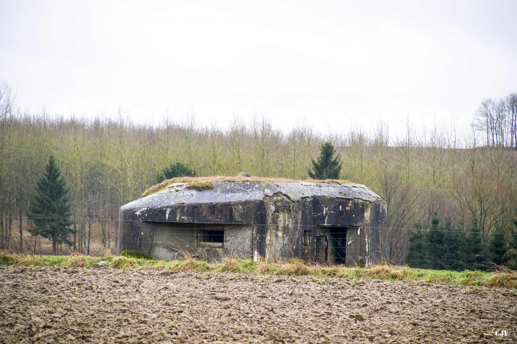Ligne Maginot - B675 - COLLERET NORD - (Blockhaus pour canon) -  - Lia VERMEULEN