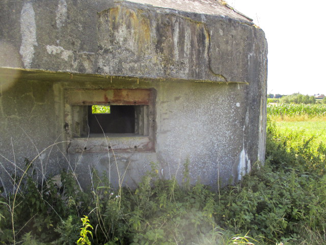 Ligne Maginot - B675 - COLLERET NORD - (Blockhaus pour canon) -  - Randonneur62