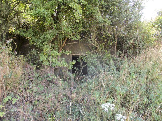 Ligne Maginot - B676 - COLLERET SUD - (Blockhaus pour arme infanterie) - Vue prise depuis la D 963. - Randonneur62