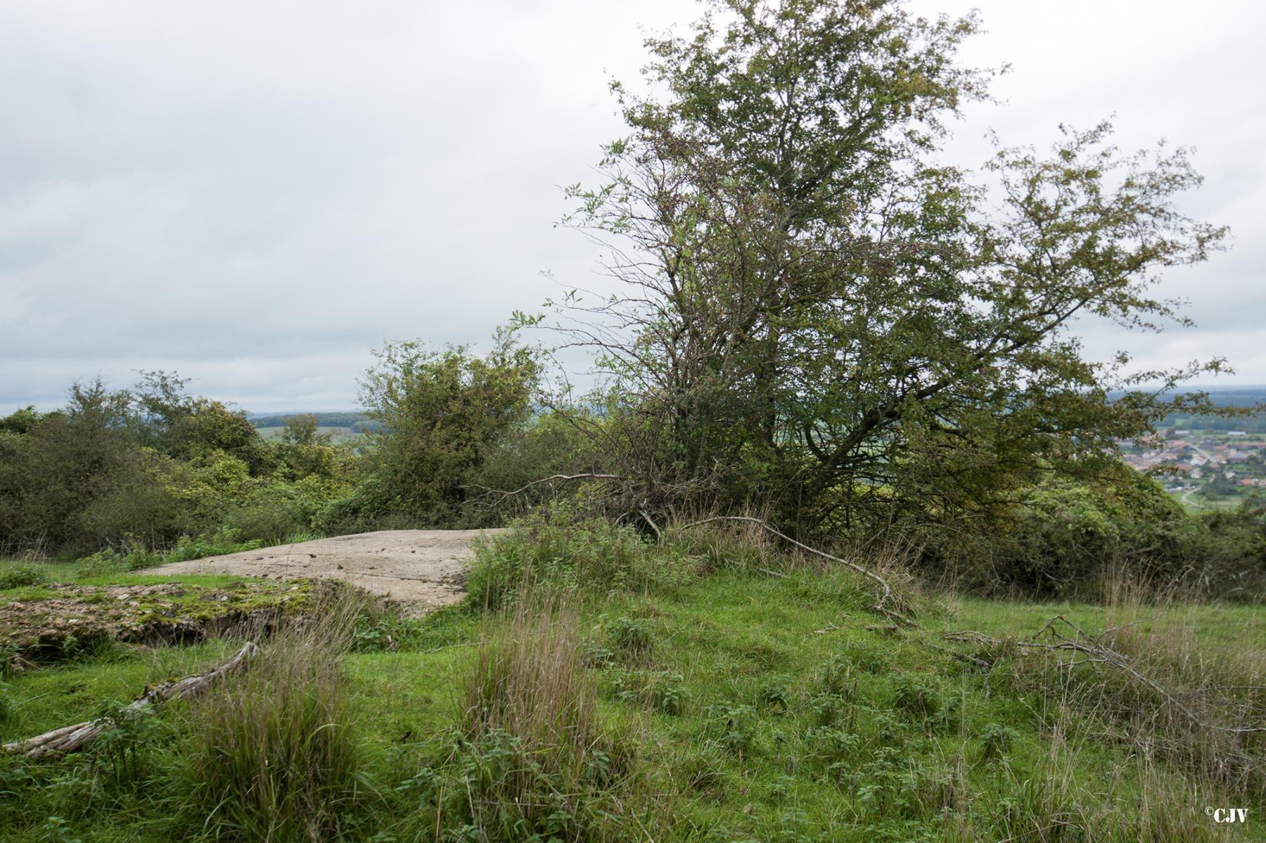 Ligne Maginot - HAUT D'HARAUCHAMPS - (Observatoire d'infanterie) -  - Lia VERMEULEN