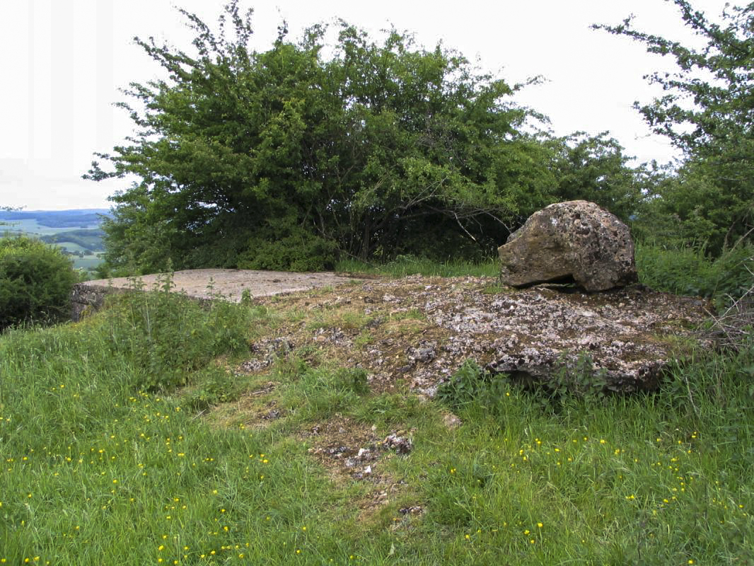 Ligne Maginot - HAUT D'HARAUCHAMPS - (Observatoire d'infanterie) - Entrée vertical sous la roche - R Tucker