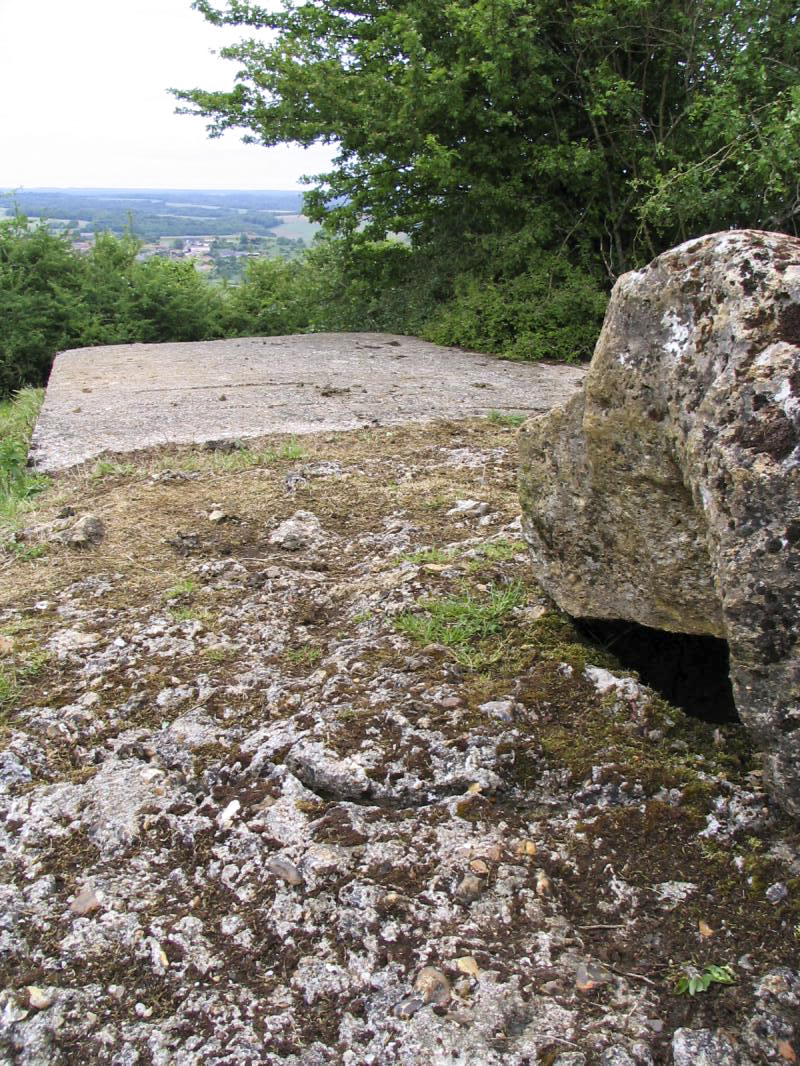 Ligne Maginot - HAUT D'HARAUCHAMPS - (Observatoire d'infanterie) - Vers le nord-est - R Tucker
