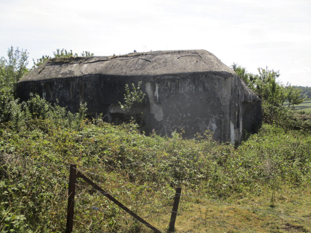 Ligne Maginot - B682 - FAUQUEMONT SUD - (Blockhaus pour canon) - Vue prise depuis la D 936 - Route Nationale. - Randonneur62