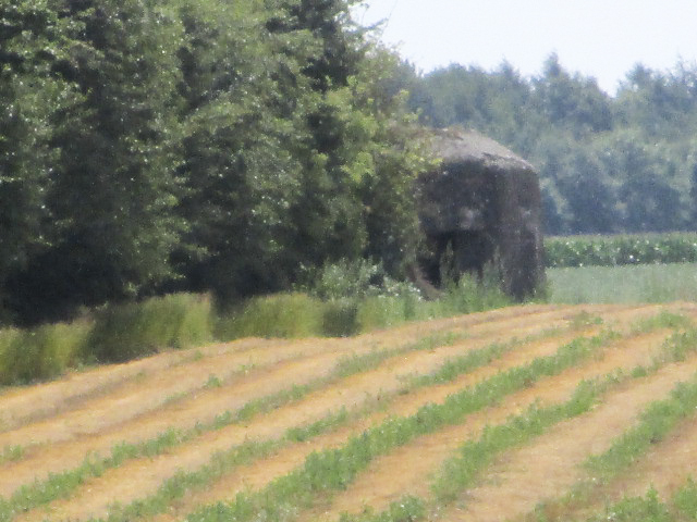 Ligne Maginot - Blockhaus B696 - CIMETIERE d'AIBES - Blockhaus situé en limite d'un champ cultivé.
Vue prise depuis la rue du Cimetière. - Randonneur62