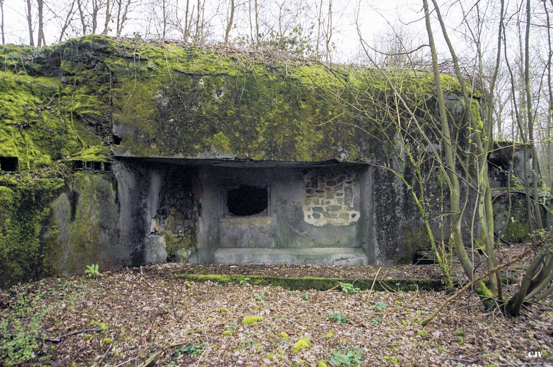 Ligne Maginot - C38 - MARPENT SUD - (Casemate d'infanterie) -  - Caspar Vermeulen