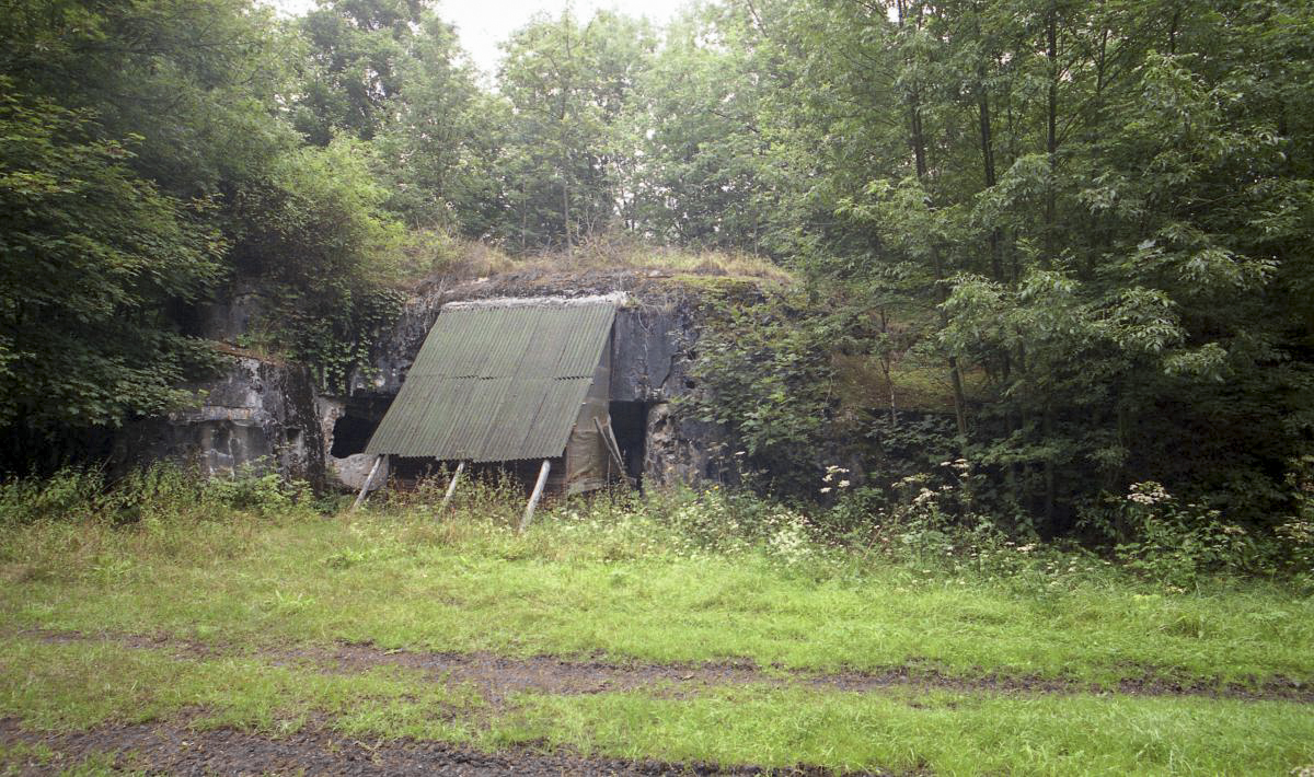 Ligne Maginot - C38 - MARPENT SUD - (Casemate d'infanterie) -  - Valentin Hemmert