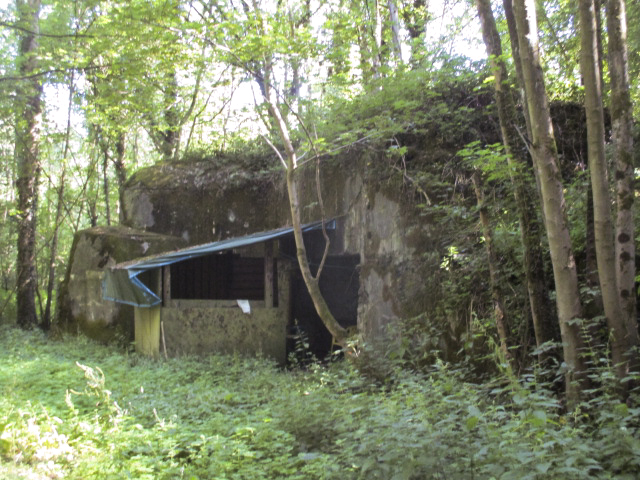 Ligne Maginot - C38 - MARPENT SUD - (Casemate d'infanterie) -  - Smardz Félix