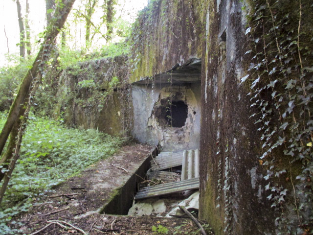 Ligne Maginot - C38 - MARPENT SUD - (Casemate d'infanterie) -  - Smardz Félix