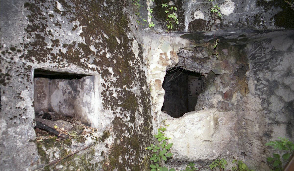 Ligne Maginot - C38 - MARPENT SUD - (Casemate d'infanterie) -  - Valentin Hemmert