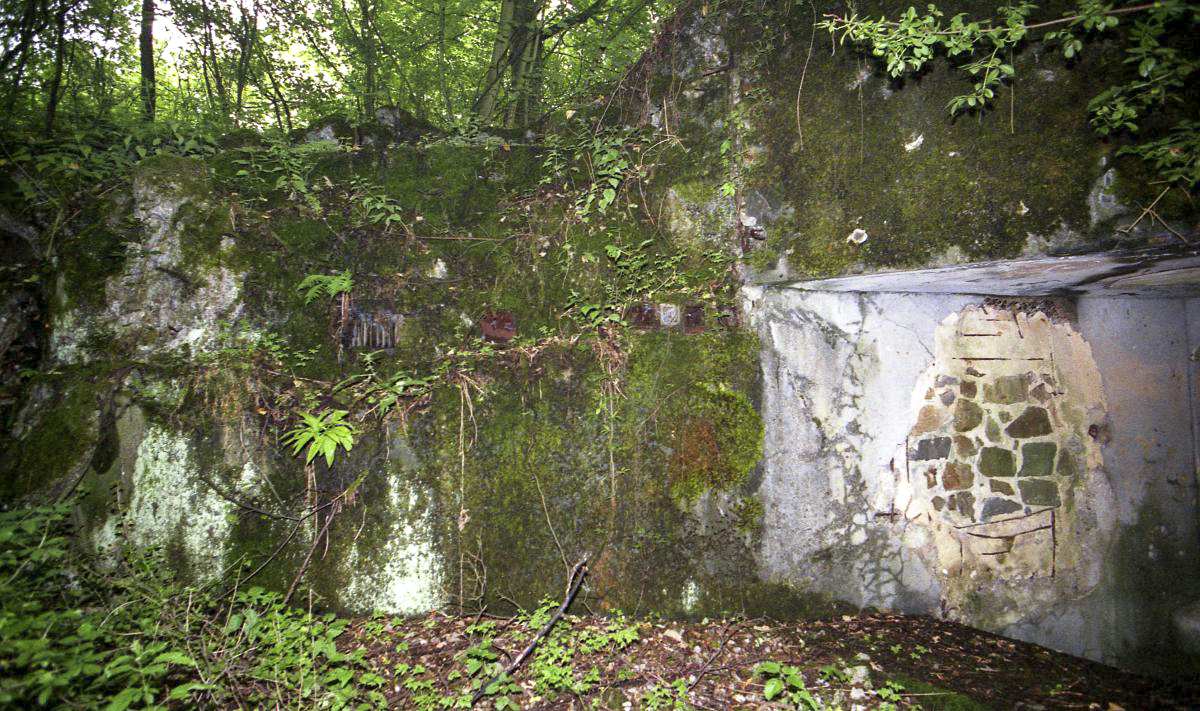 Ligne Maginot - C38 - MARPENT SUD - (Casemate d'infanterie) -  - Valentin Hemmert