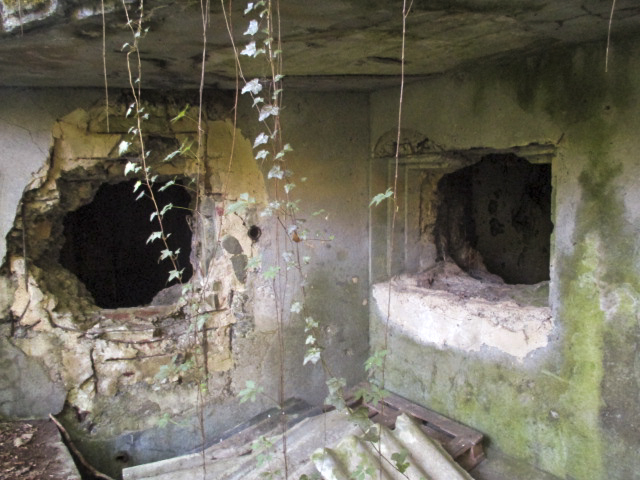 Ligne Maginot - C38 - MARPENT SUD - (Casemate d'infanterie) -  - Smardz Félix