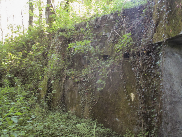 Ligne Maginot - C38 - MARPENT SUD - (Casemate d'infanterie) -  - Smardz Félix