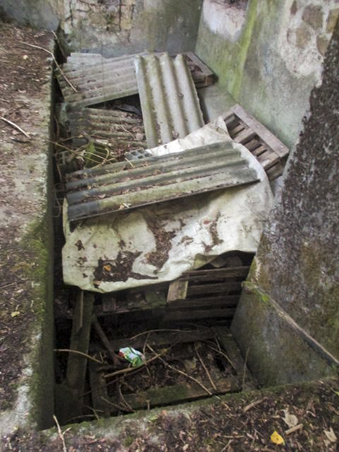 Ligne Maginot - C38 - MARPENT SUD - (Casemate d'infanterie) -  - Smardz Félix