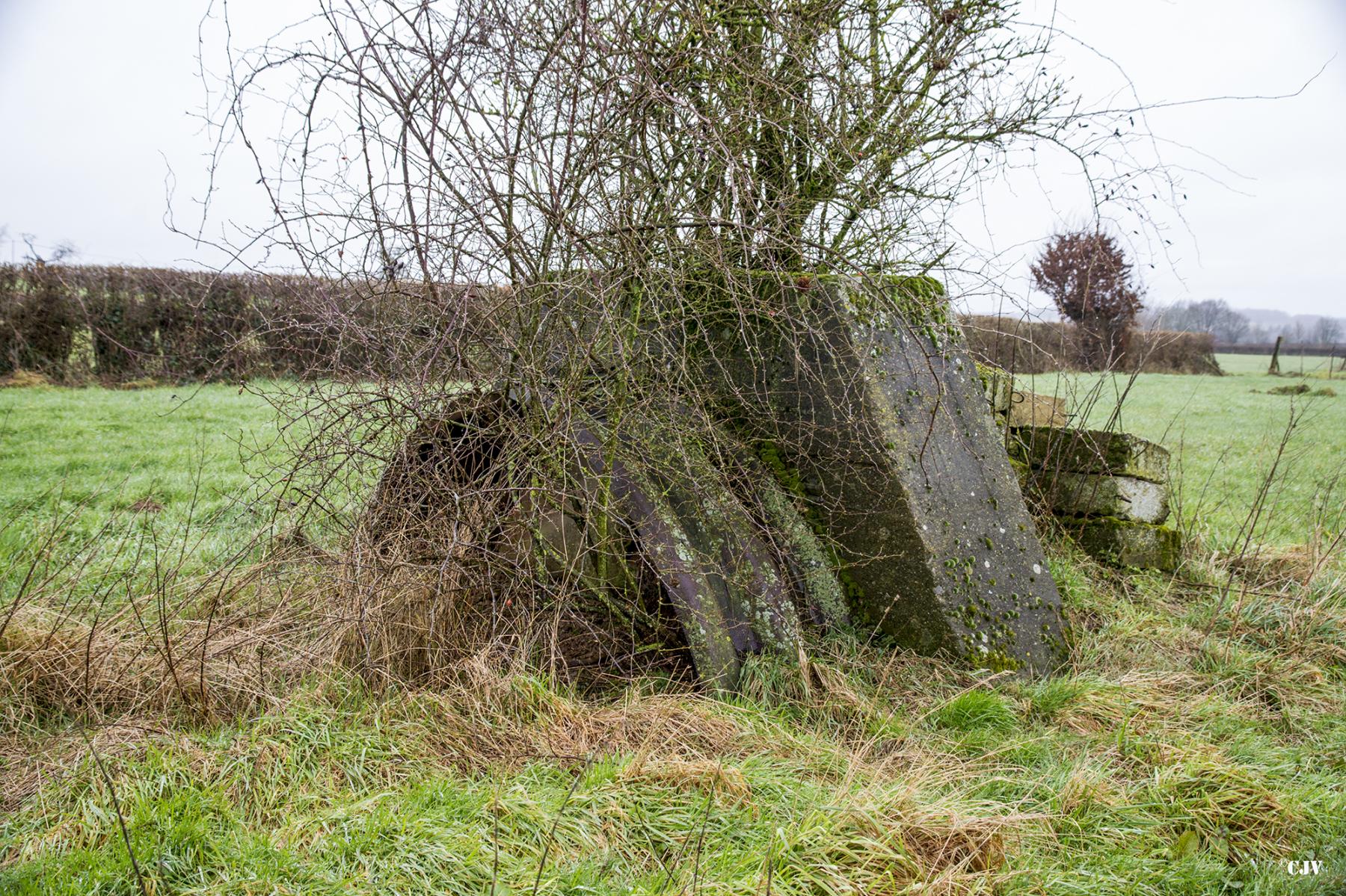 Ligne Maginot - B697 - BOUT D'EN HAUT NORD - (Blockhaus pour arme infanterie) -  - Lia VERMEULEN
