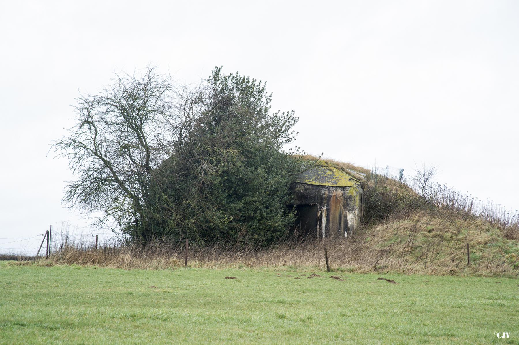 Ligne Maginot - B698 - BOUT D'EN HAUT SUD - (Blockhaus pour canon) -  - Lia VERMEULEN