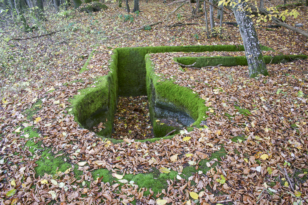 Ligne Maginot - CT59 - (Cuve pour arme d'infanterie) -  - Michel Teiten
