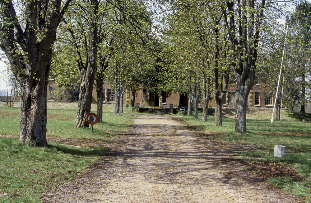 Ligne Maginot - ANGEVILLERS (CAMP) - (Camp de sureté) - Allée du camp - Michel Teiten
