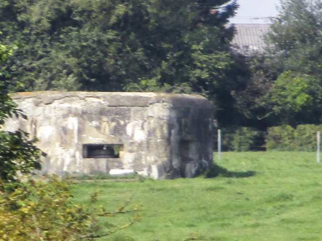Ligne Maginot - B712 - Le TRIANON (Blockhaus pour arme infanterie) - Blockhaus situé dans un pré clôturé en bordure de la Route d'Avesnes D 962 - Randonneur62