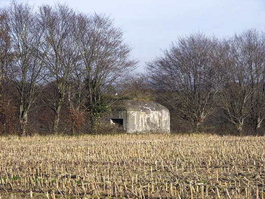 Ligne Maginot - B715 - Les PIERRES SAINT MARTIN (Blockhaus pour canon) -  - AALMA - www.lignemaginot.com