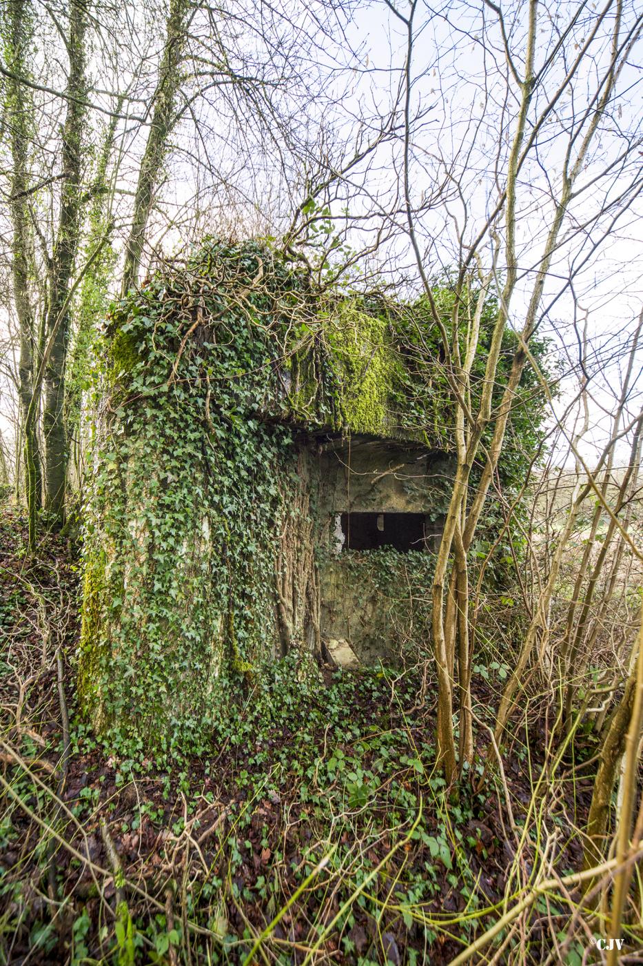 Ligne Maginot - B716 - LES HERELLES - (Blockhaus pour canon) -  - Lia VERMEULEN