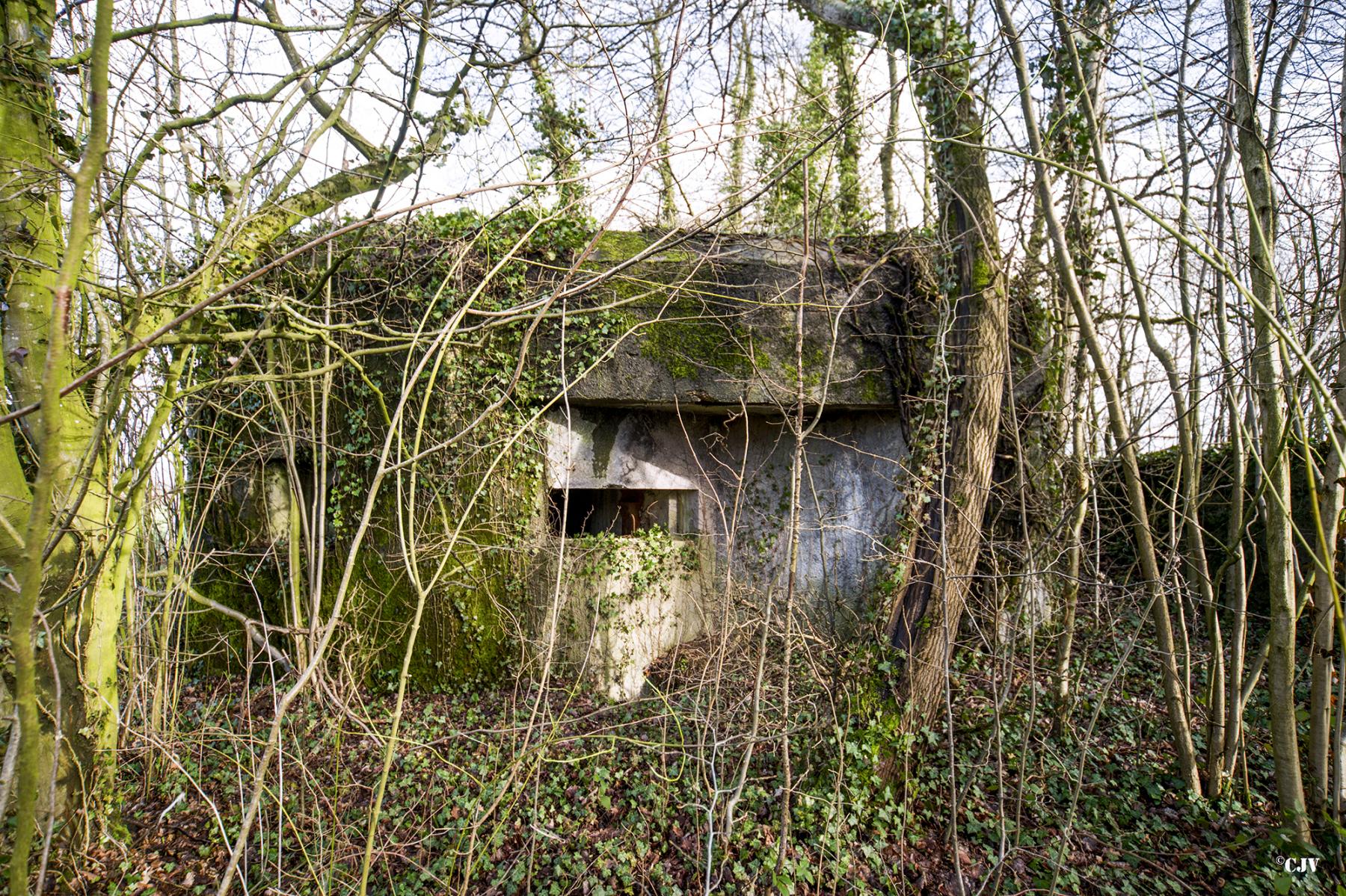 Ligne Maginot - B716 - LES HERELLES - (Blockhaus pour canon) -  - Lia VERMEULEN