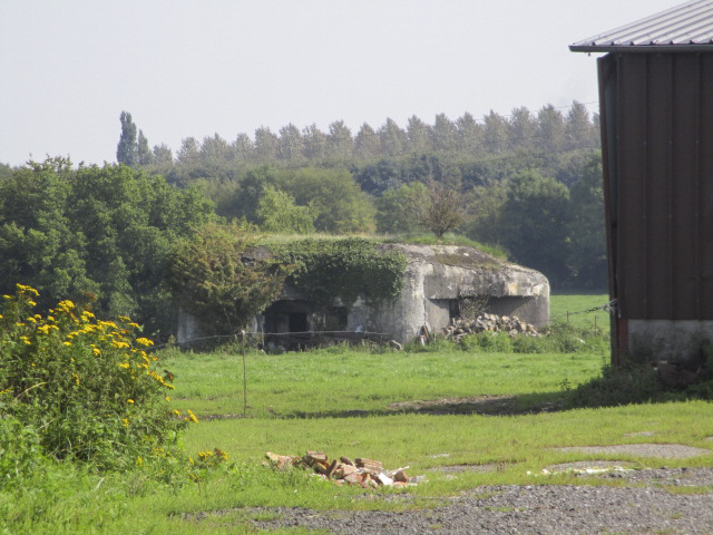 Ligne Maginot - B719 - L'EPINE - (Blockhaus pour canon) - Blockhaus situé dans un pré clôturé à proximité du Chemin de la Globinette. - Randonneur62