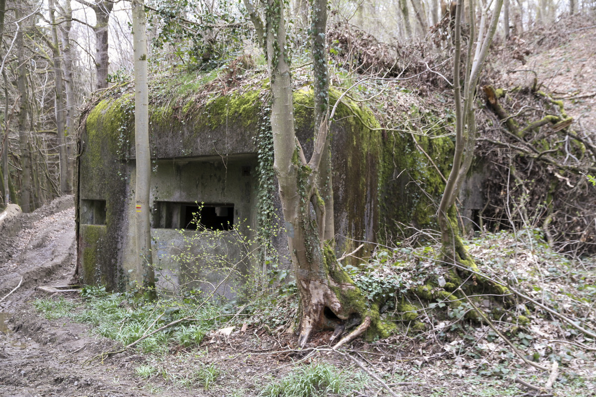 Ligne Maginot - B731 - TRIEUX D'ANICOLE - (Blockhaus pour canon) -  - Alain Perouffe