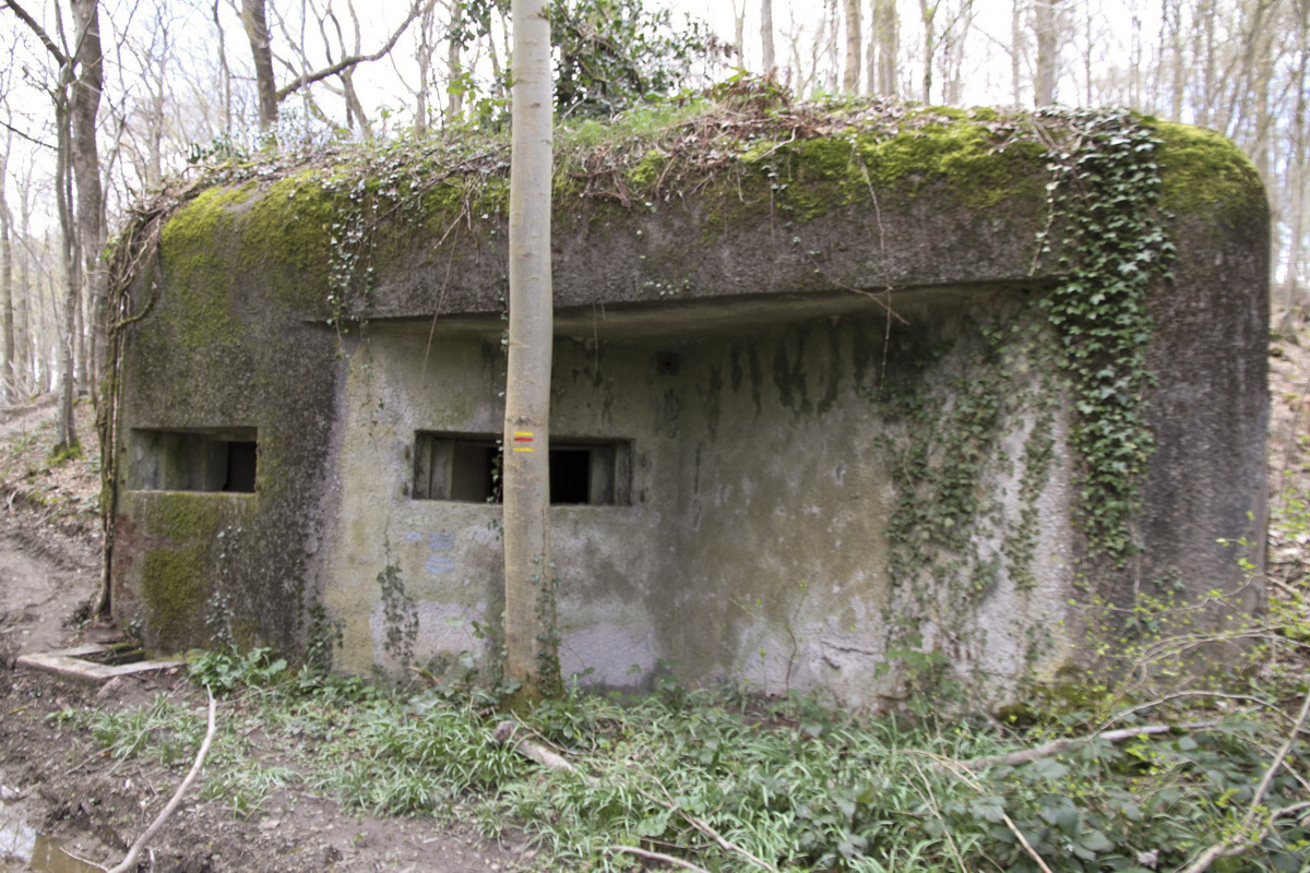 Ligne Maginot - B731 - TRIEUX D'ANICOLE - (Blockhaus pour canon) -  - Alain Perouffe