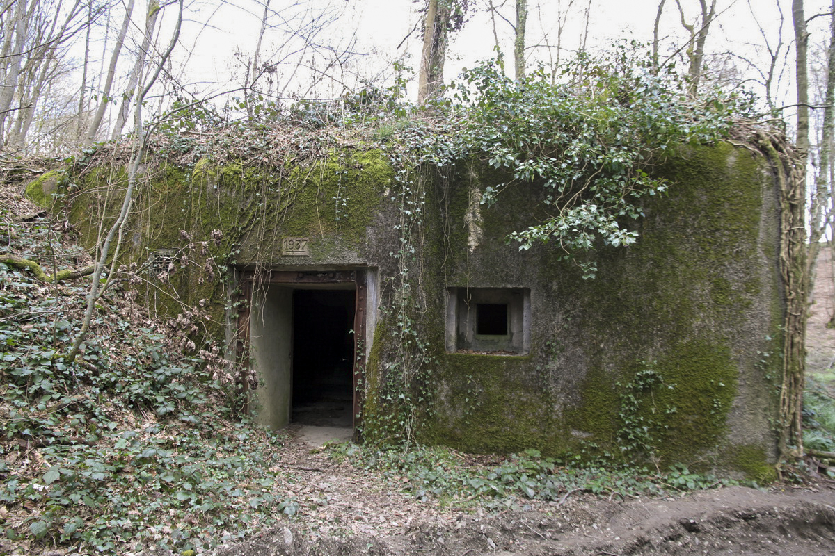 Ligne Maginot - B731 - TRIEUX D'ANICOLE - (Blockhaus pour canon) -  - Alain Perouffe