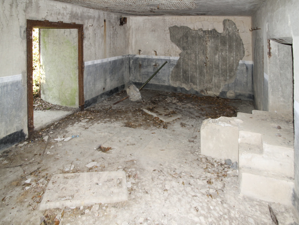 Ligne Maginot - B731 - TRIEUX D'ANICOLE - (Blockhaus pour canon) -  - Alain Perouffe