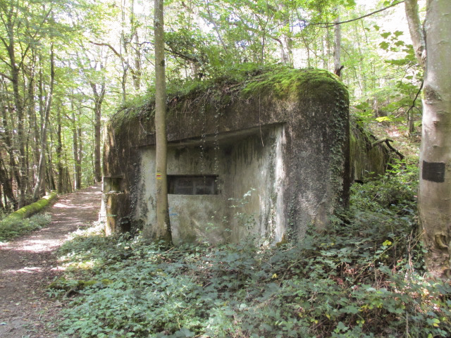 Ligne Maginot - B731 - TRIEUX D'ANICOLE - (Blockhaus pour canon) -  - Randonneur62