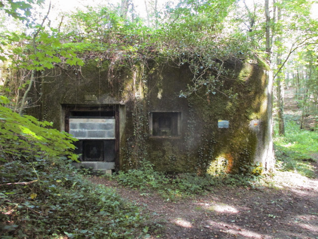 Ligne Maginot - B731 - TRIEUX D'ANICOLE - (Blockhaus pour canon) -  - Randonneur62