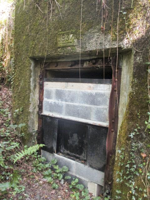 Ligne Maginot - B731 - TRIEUX D'ANICOLE - (Blockhaus pour canon) - Le blockhaus est complètement muré et porte la date de 1937. - Randonneur62