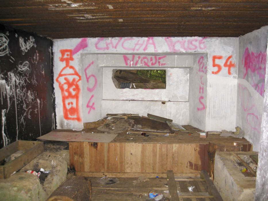 Ligne Maginot - DB128 - BOIS DE CRUSNES 3 - (Blockhaus pour canon) -  - Pruzsina Jérome