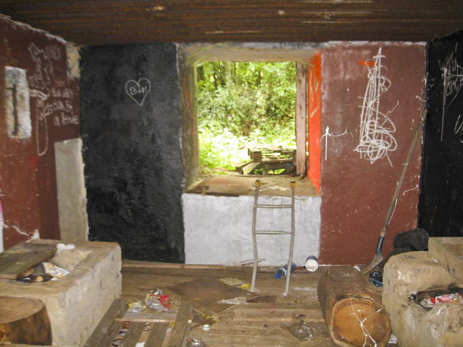 Ligne Maginot - DB128 - BOIS DE CRUSNES 3 - (Blockhaus pour canon) -  - Pruzsina Jérome