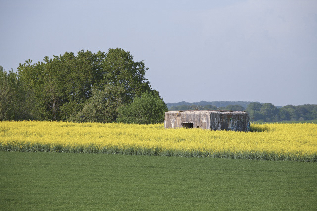 Ligne Maginot - DB122 - LA CORVEE - (Blockhaus pour canon) -  - Arnault JL Photo