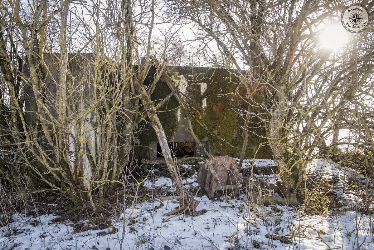 Ligne Maginot - DB113 - CHEMIN D'AUMETZ 3 - (Blockhaus pour canon) -  - Thierry Caland
