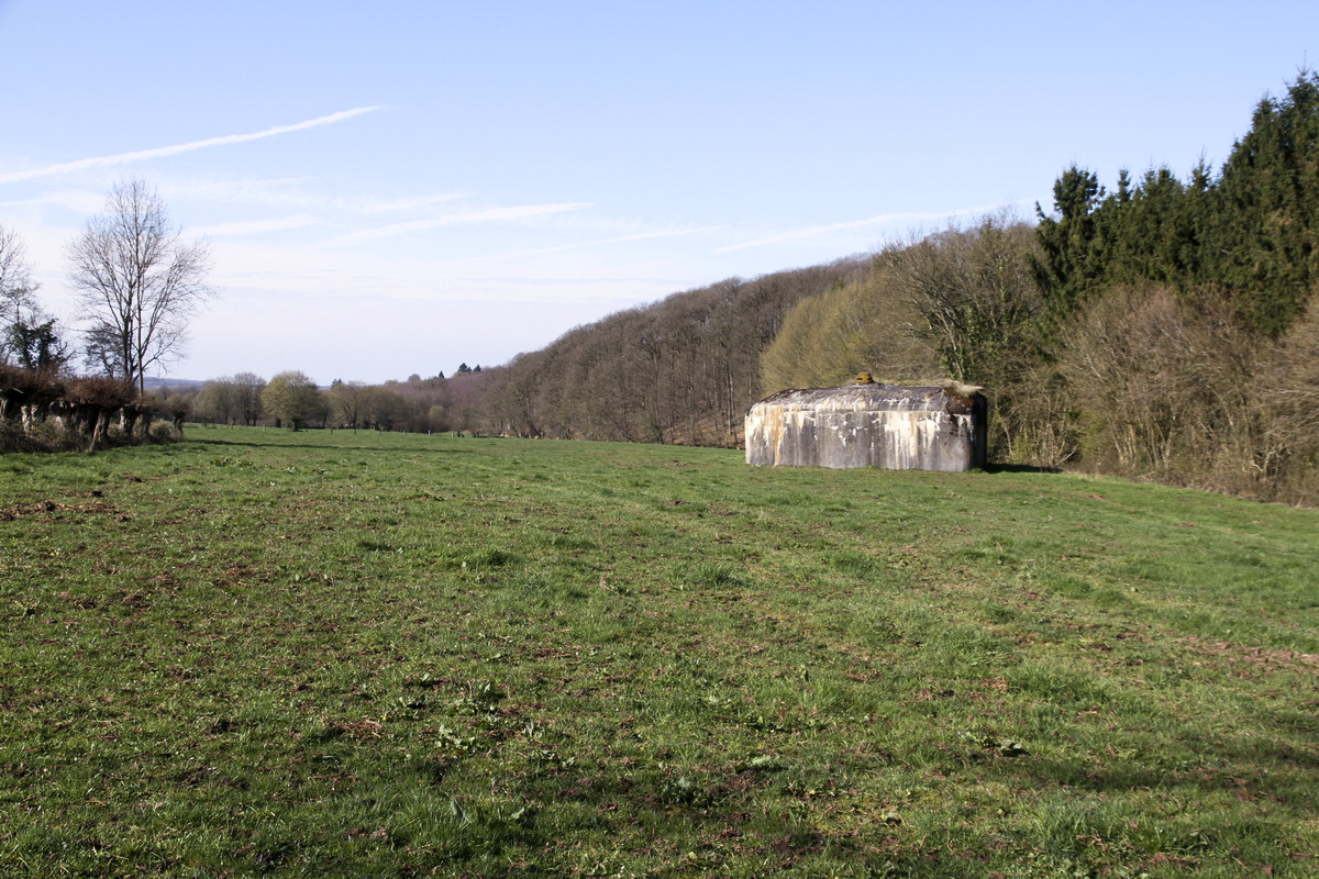 Ligne Maginot - B732 - GARDE DE WILLIES - (Blockhaus pour canon) -  - Alain Perouffe