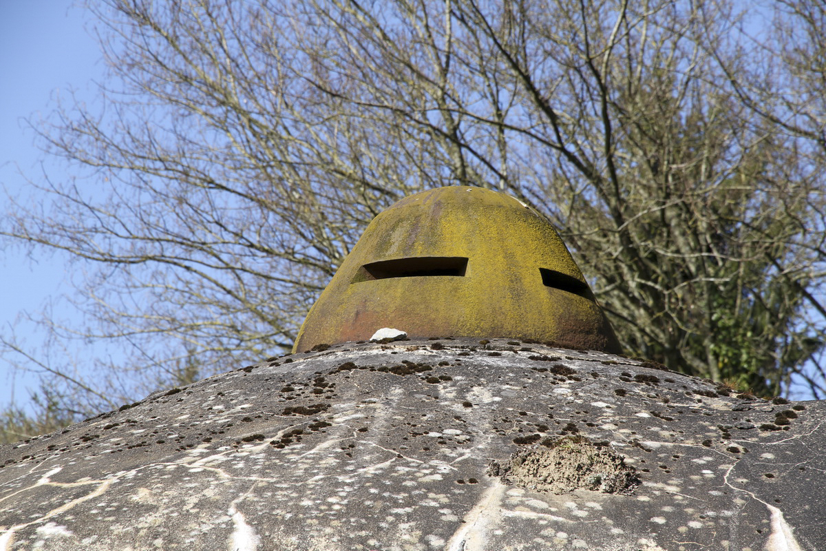 Ligne Maginot - B732 - GARDE DE WILLIES - (Blockhaus pour canon) -  - Alain Perouffe