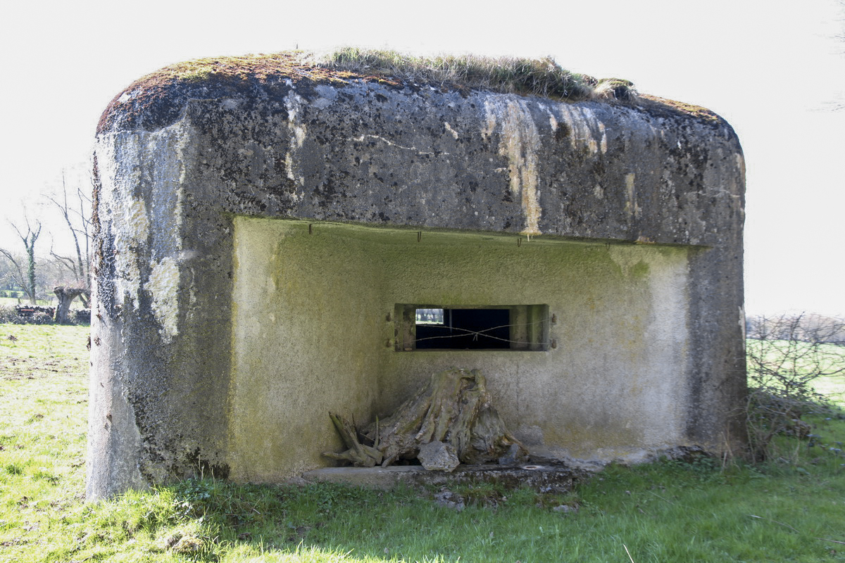 Ligne Maginot - B732 - GARDE DE WILLIES - (Blockhaus pour canon) - Façade nord - Alain Perouffe