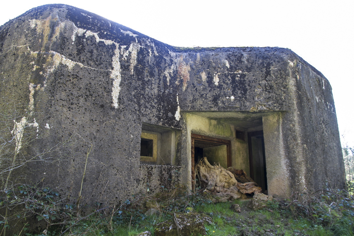 Ligne Maginot - B732 - GARDE DE WILLIES - (Blockhaus pour canon) - Façade nord - Alain Perouffe